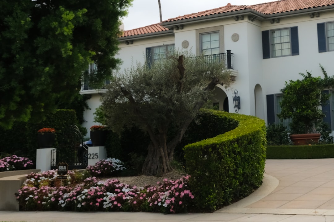 How Much Does Landscaping Cost in Orange County? (2026 Guide)